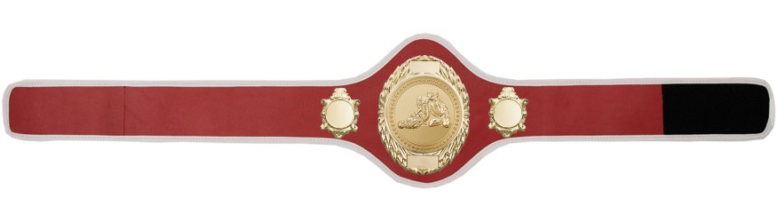 JIU JITSU CHAMPIONSHIP BELT-PRO286/G/JJG-10+ COLOURS